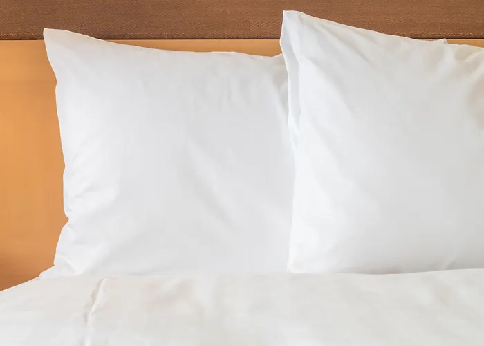 Best Hotels Close to Peabody Essex Museum in Salem